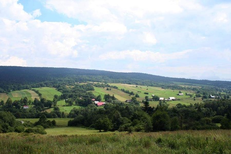Загальний вид сучасної Новиці