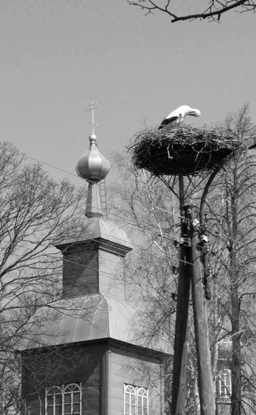 Слідами предків у майбутнє